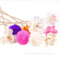 /msite/products/detail/productid/62603960/id/1508446.html